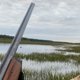 На кого разрешено охотиться в Курганской области в 2025 году