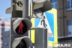 Мальчик передвигался на велосипеде на красный сигнал светофора