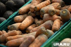 Морковь подорожала больше других овощей 
