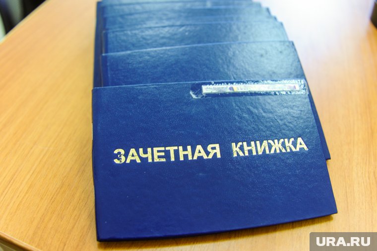 Наибольшим спросом у абитуриентов пользовались такие направления, как «Экономика» и «Строительство»