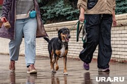Прохладная и дождливая погода ждет курганцев всю декаду