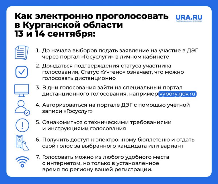 В Курганской области на выборах в облдуму можно будет голосовать в дистанционном электронном формате