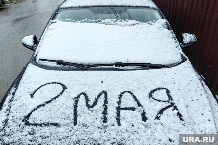 В Московской области спецслужбы борются с последствиями мощного снегопада