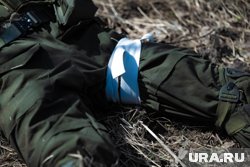 Власти ХМАО планируют организовать ВВК для бойцов СВО на территории Югры