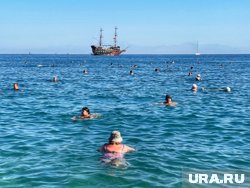 В водах Мраморного, Эгейского и Средиземного морей нашли ДНК бактерий Vibrio