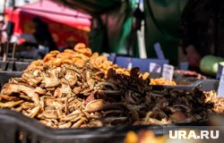 Привозить сухофрукты в ХМАО из Азербайджана и Таджикистана в багаже запрещено