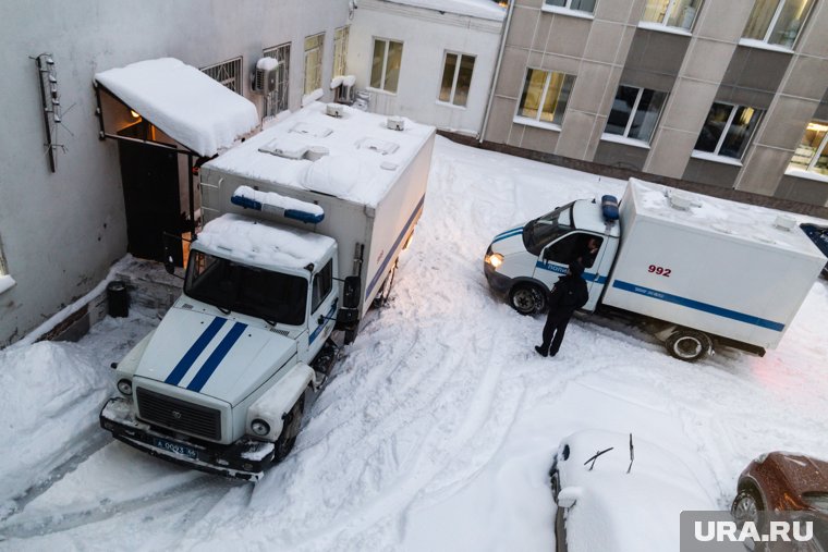 Грабители задержаны и помещены в изолятор