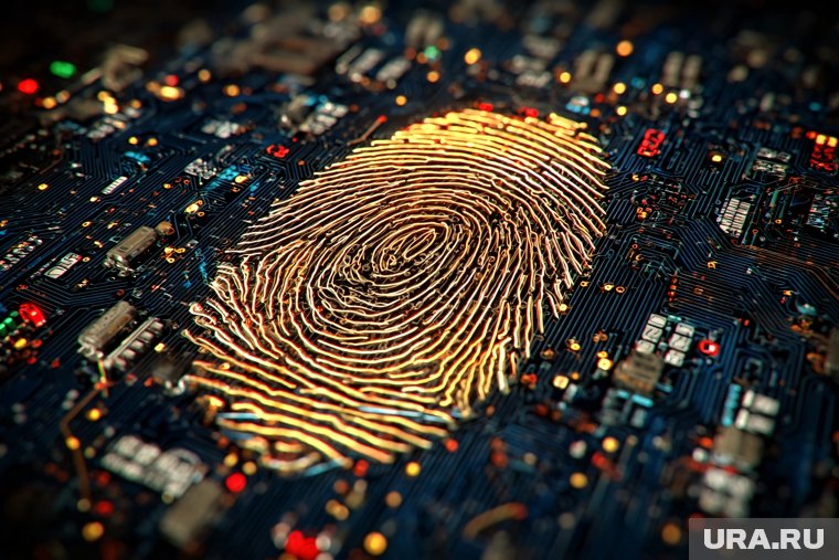 На биометрию регистрируются около 40 тысяч россиян ежедневно