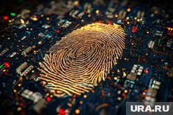 На биометрию регистрируются около 40 тысяч россиян ежедневно
