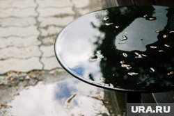 Кратковременные дожди в области будут до конца недели