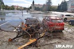 Во время шторма в Кургане ветер ломал деревья и сбрасывал с них ветки