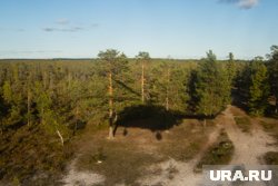 Более 500 эковолонтеров приедут на арктический форум в Югру