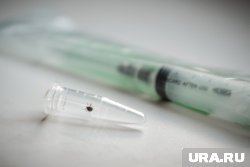 При укусе клеща нужно немедленно обратиться к врачу 