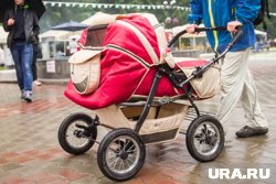 Новые социальные гарантии для многодетных семей стимулируют рождаемость в стране 