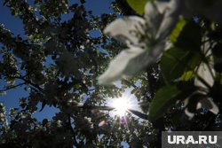 Тепло останется в регионе меньше, чем на неделю