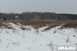 Земельные участки в Челябинской области изымут, если их забросили 
