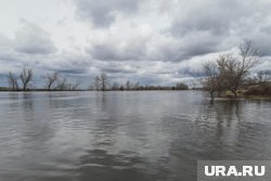 Паводок наступает: в Шадринске начался рост уровня воды