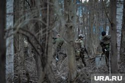 Новониколаевка почти полностью перешла под контроль ВС РФ