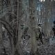 ВС РФ взяли село в ДНР и продвинулись в Харьковской области: карта спецоперации на 19 июня