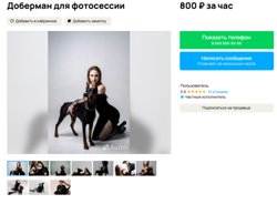 Необычная услуга в Кургане: собака-доберман для стильных фотосессий