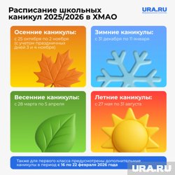 График школьных каникул