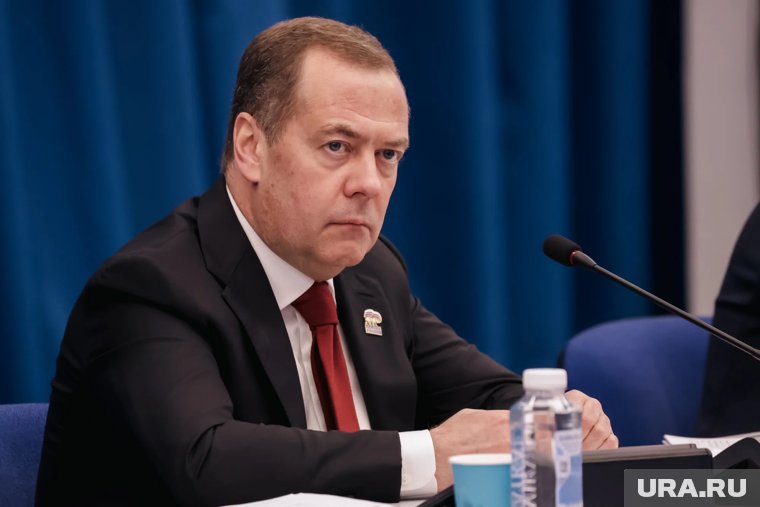 Медведев скептически отнесся к инициативе Австрии