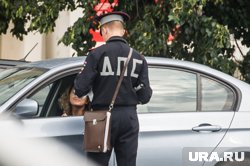 Инспекторы смогли выявить поддельные права у женщины (архивное фото)