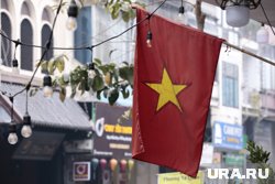 Кадровое агентство Вьетнама готово поставлять работников разных специальностей
