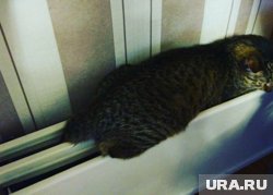 В Орджоникидзевском районе к теплу подключено меньше всего жилых домов