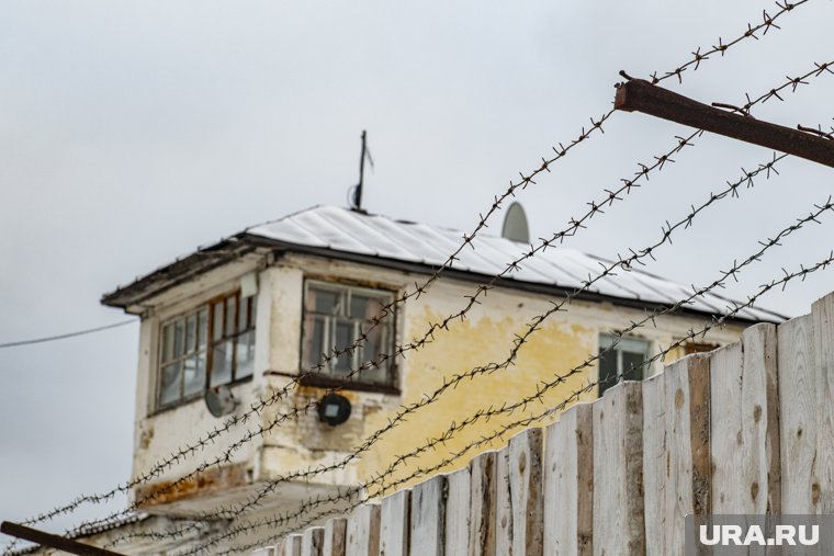 Тайник нашли в колонии