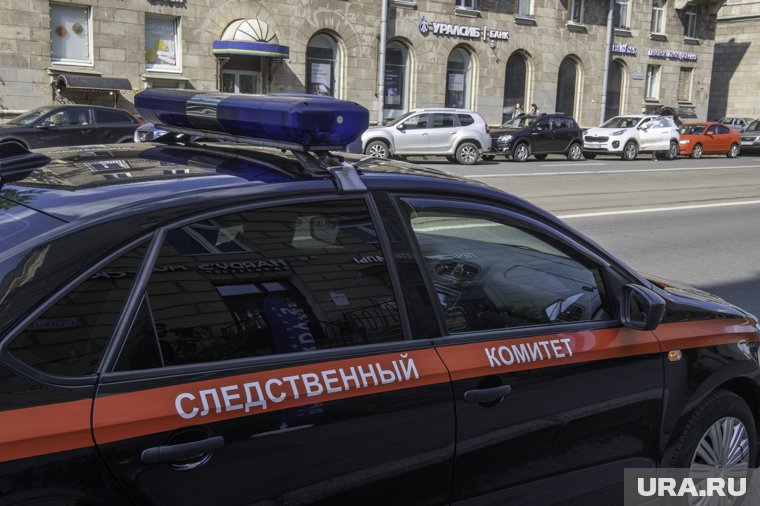 В драке школьников разберутся следователи
