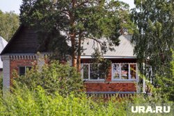 Курганец украли из дачи имущество и еду