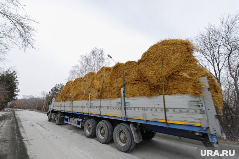 Целлюлозу челябинцы будут выпускать из сельскохозяйственных отходов 