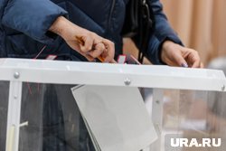 У курганцев появилась альтернатива голосованию на участках