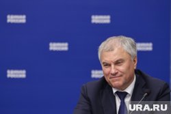 Володин обсудил с правительством здоровье школьников 