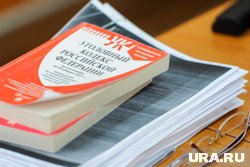 В отношении экс-директора возбуждено уголовное дело по двум статьям УК РФ