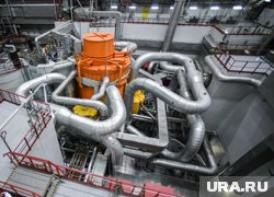 Годовой ремонт Трипольской ТЭС на Украине прервался после повреждения станции, заявили в Раде