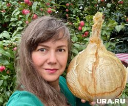 Обхват луковицы — 69,5 см