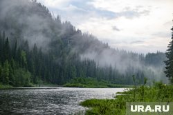 Обилие тумана в этот день предвещало хороший урожай грибов