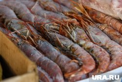 Пермским инвесторам предлагали вложиться в производство рыбных деликатесов