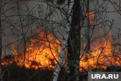 Десантники из Тюменской области тушили пожары в Бурятии с начала июня