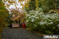 В новом сквере предусмотрены зоны для активного и спокойного отдыха