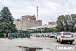 В течение недели на территории промышленности фиксируются атаки, сообщила Яшина
