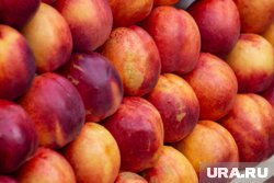 Одну из партий нектаринов запретили к продаже до обеззараживания