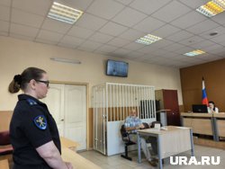 Следователи просят продлить пребывание под стражей для Елены Камшиловой