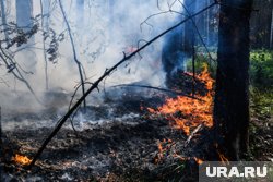 Пожарная обстановка в регионе стабилизировалась