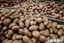 Картофель подорожал больше золота 