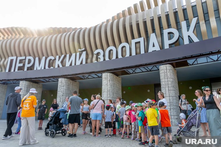 Новый зоопарк в Перми открыли в августе