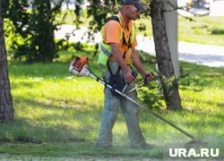 В Кургане ввели новый вид обязательных работ