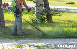 Своевременная уборка скошенной травы повлияла на уход воды с улиц, считает Котова